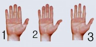 Ja çfarë tregon forma e dorës për ju!