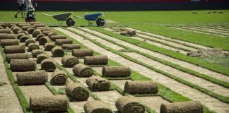 Nis puna për zëvendësimin e tapetit në “Air Albania”