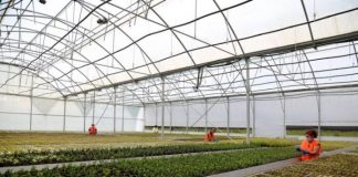 Fieri me numrin më të madh të bizneseve të reja që u hapën në sektorin e bujqësisë