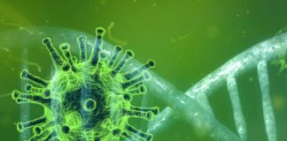 Tronditja nga “Delta”, profesori: Vala e katërt do i prekë të gjithë, rruga që ju shpëton