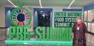 Ekonomi në parasamitin e Romës: Shqipëria, potencial të lartë bujqësor