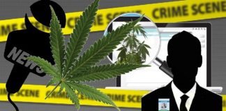 “E fundos i ‘penduari’”/ Në përgjimet e ‘Shpirtit’ dhe 1 gazetar: Paguhej nga trafikantët për të fshehur parcelat me kanabis