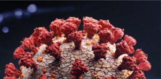 Çfarë është varianti Delta? Ja 5 gjërat që duhet të dini