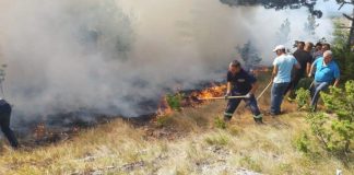 Prefekti i Gjirokastrës: Angazhim i strukturave ndaj një situate të pazakontë zjarresh