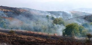 Zjarri në Gjirokastër, Kote: Situata drejt stabilizimit, 150 forca të angazhuara