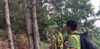 Policia procedon 3 persona për zjarrvënie