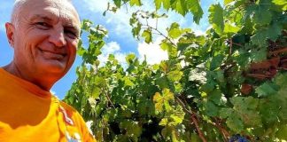 Sezoni rakisë/ Meta ndan foton pranë bistakëve të rrushit: Me bereqet dhe mirëqenie!