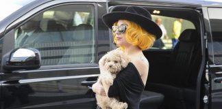 Nga Lady Gaga te Barack Obama, personalitetet, shkencëtarët dhe artistët “super”… mëngjarashë!