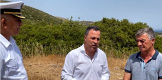 Zjarret në vend, Peleshi: S’kemi humbje jete, shmangën prekjen e Parkut të Llogarasë nga flakët