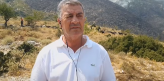 Prefekti i Vlorës: Dje i fikëm të gjitha zjarret, “duart e poshtra” na kthyen sërish në betejën për të mbrojtur Llogoranë