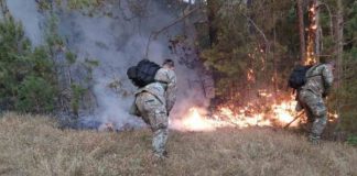 Maqedonia e Veriut shpall një muaj gjendje krize për shkak të përhapjes së zjarreve