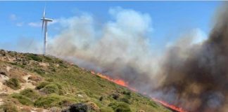 Zjarret s’kanë fund, merr flakë pylli në Evia në Greqi