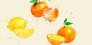 Zgjidhni agrumet që ju pëlqejnë më shumë dhe zbuloni raportet me të tjerët