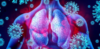 Covid nuk është sëmundje e frymëmarrjes, por sëmundje vaskulare