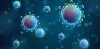 Eksperti francez: Dalja e virusit nga laboratori i Wuhan-it, plotësisht e pamundur