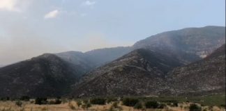 Vijojnë zjarret në Karaburun/ Përhapen në Gjirin e Gramës, flakët rrezikojnë të shkojnë drejt Llogarasë