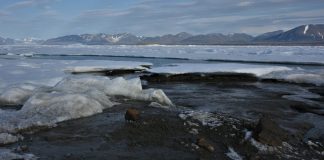 Shkencëtarët zbulojnë ishullin në skajin më verior të botës