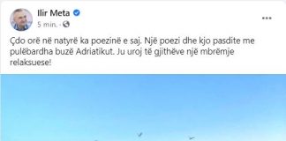 Meta i buzëqeshur buzë detit: Pasdite me pulëbardha dhe poezi…