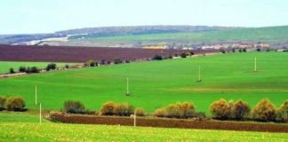 Fier, publikohen emrat e banorëve që kanë gati certifikatën e pronësisë në Patos