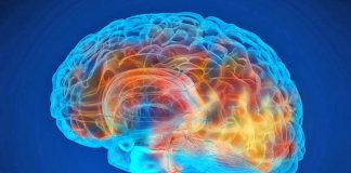 Njihuni me problemet shëndetësore që shkakton mungesa e vitaminës B12