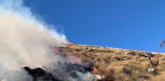 Zjarri në Gadishullin e Karaburunit, rreth 500 efektivë të FA në terren