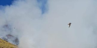 Zjarret, Emergjencat Civile: 4 helikopterë, ndërhyrje nga ajri