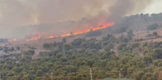 Izolohen flakët që kërcënonin kurorën në Fushë-Arrëz