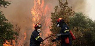Shtohen dyshimet për zjarret në Greqi, pas xhamit misterioz, gjendet një tjetër send mes të pyjeve