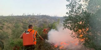 Zjarret/ Shqipëria arrin me sukses të ndalojë përshkallëzimin e situatës, vijojnë përpjeket për gjetjen e zjarrvënësve