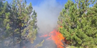 Riaktivizohet zjarri në fshatin Thirrë, mbërrin helikopteri çek dhe ushtria, Ministria e Mbrojtjes: Ja vatrat që rrezikojnë banesat