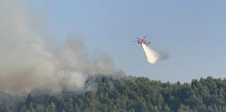 Zjarret detyrojnë evakuimin e banorëve të qytetit antik të Olimpit dhe zonave përreth