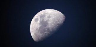 Japonezët do të prodhojnë edhe ushqim në Hënë ?