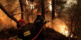 Greqi/ Ende zjarre aktive në Peloponez