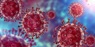 Covid19/ Pfizer nis studimin e antiviralit oral