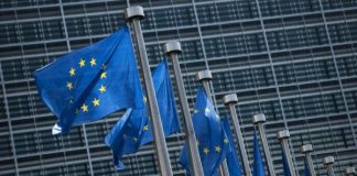 BE lehtëson lëshimin e Kartës Blu për emigrantët e kualifikuar