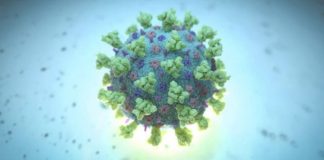 Çfarë dimë për variantin Mu?