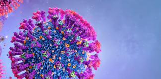 Zbulohet gjeni përgjegjës për format e rënda të Covid-19