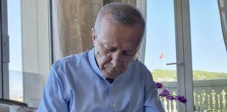 Erdogani poston foton duke lexuar gazetën, vëmendjen e merr macja që rri ulur në prehrin e tij