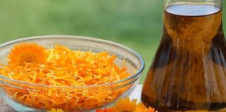 Këto janë 7 bimët më të mira kundër kolitit, këshillat që ju duhen