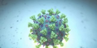 Studimi: Ashpërsia e sëmundjes së Covid-19, mund të varet nga nivelet e këtij elementi…