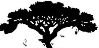 Sfida virale: Figura e parë që shihni zbulon personalitetin tuaj