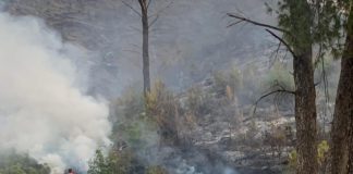 Shuhet zjarri në Panaja të Vlorës