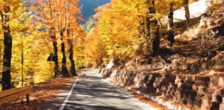 Çfarë mrekullie e natyrës, Rama tregon rrugën e re të Thethit me pamjet të jashtëzakonshme në këto ditë vjeshte