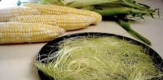 A keni dëgjuar për “Mustaqet e misrit”? Si t’i përdorni