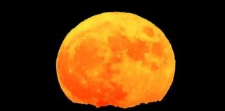 Sonte me sytë nga qielli, gjithçka që duhet të dini për Hënën e Gjuetarit