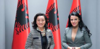 Kriza energjetike, Balluku takon ambasadoren e SHBA: Biseduam për Skavicën dhe TEC-in e Vlorës