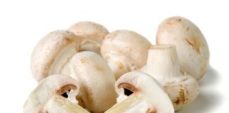 Kjo është mënyra më e mirë për të gatuar kërpudhat