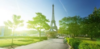 Paris, mbillen 170 000 pemë për përmirësimin e cilësisë së ajrit