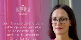 Depistimi i kancerit të gjirit, buxhetim gjinor në Ligjin Organik