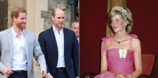 Çfarë ndodhi? Vendimi i fundit i “Netflix” rreth Princeshës Diana revolton Princin William